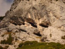 2013-10-08_Guffert (056).JPG
